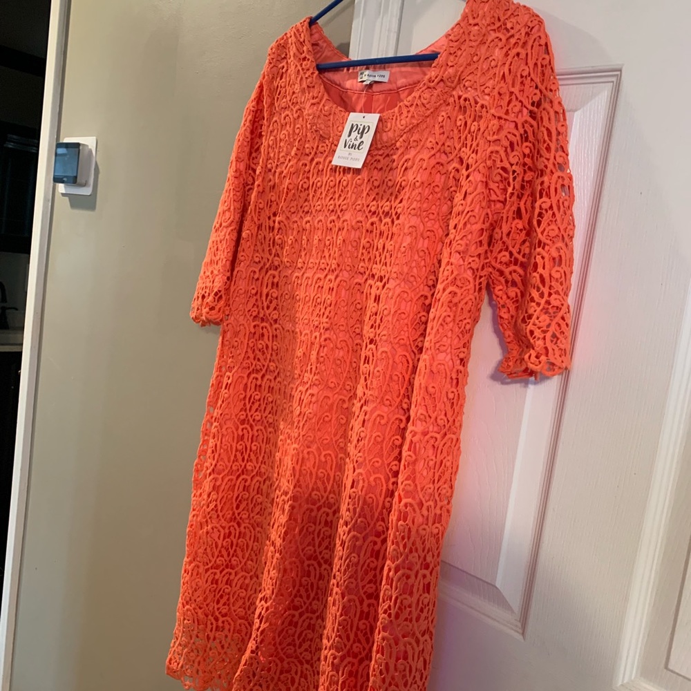 Pip & Vine by Rosie Pope Maternity Dress